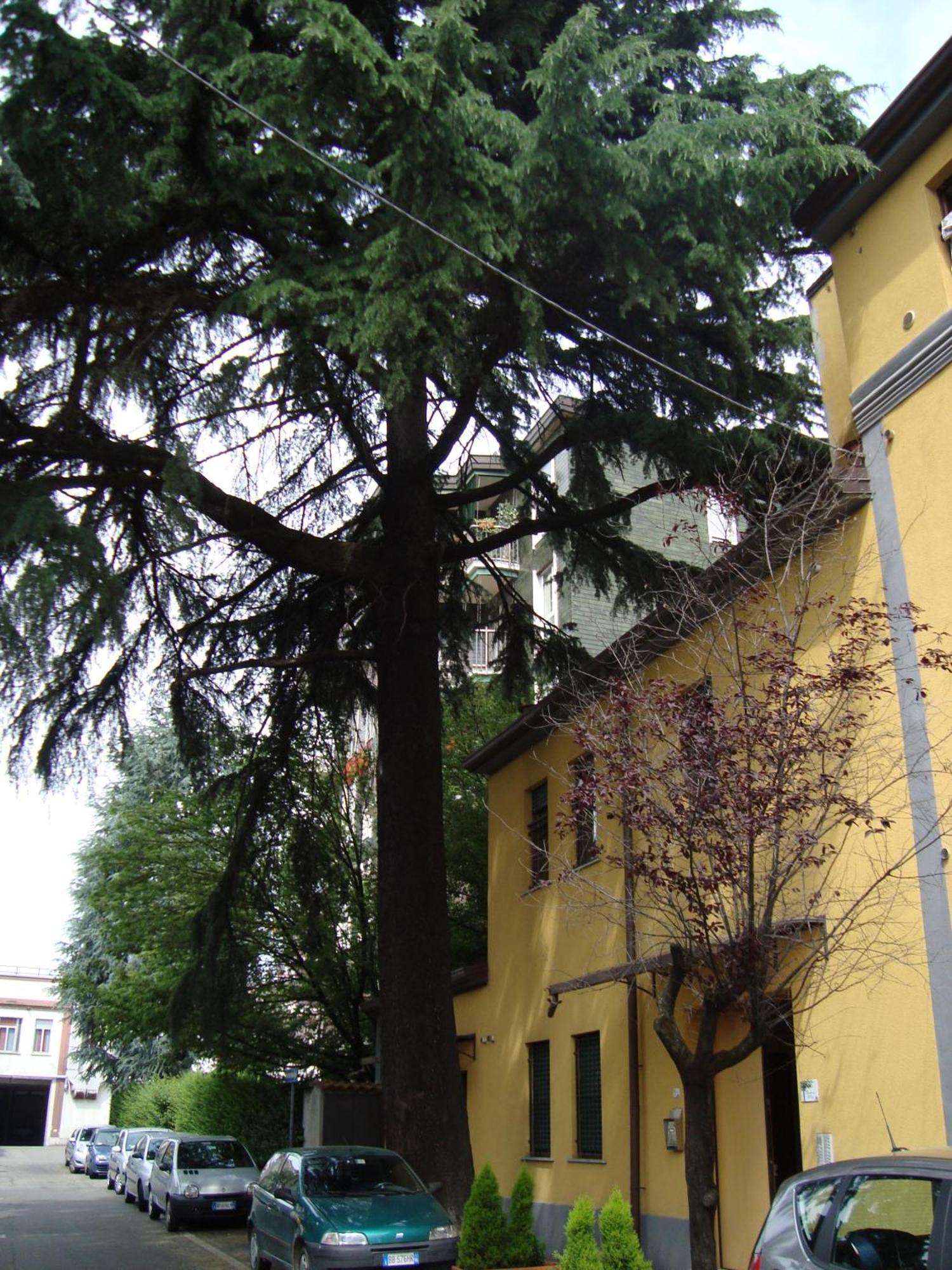 Residence Il Pino Saronno Eksteriør bilde