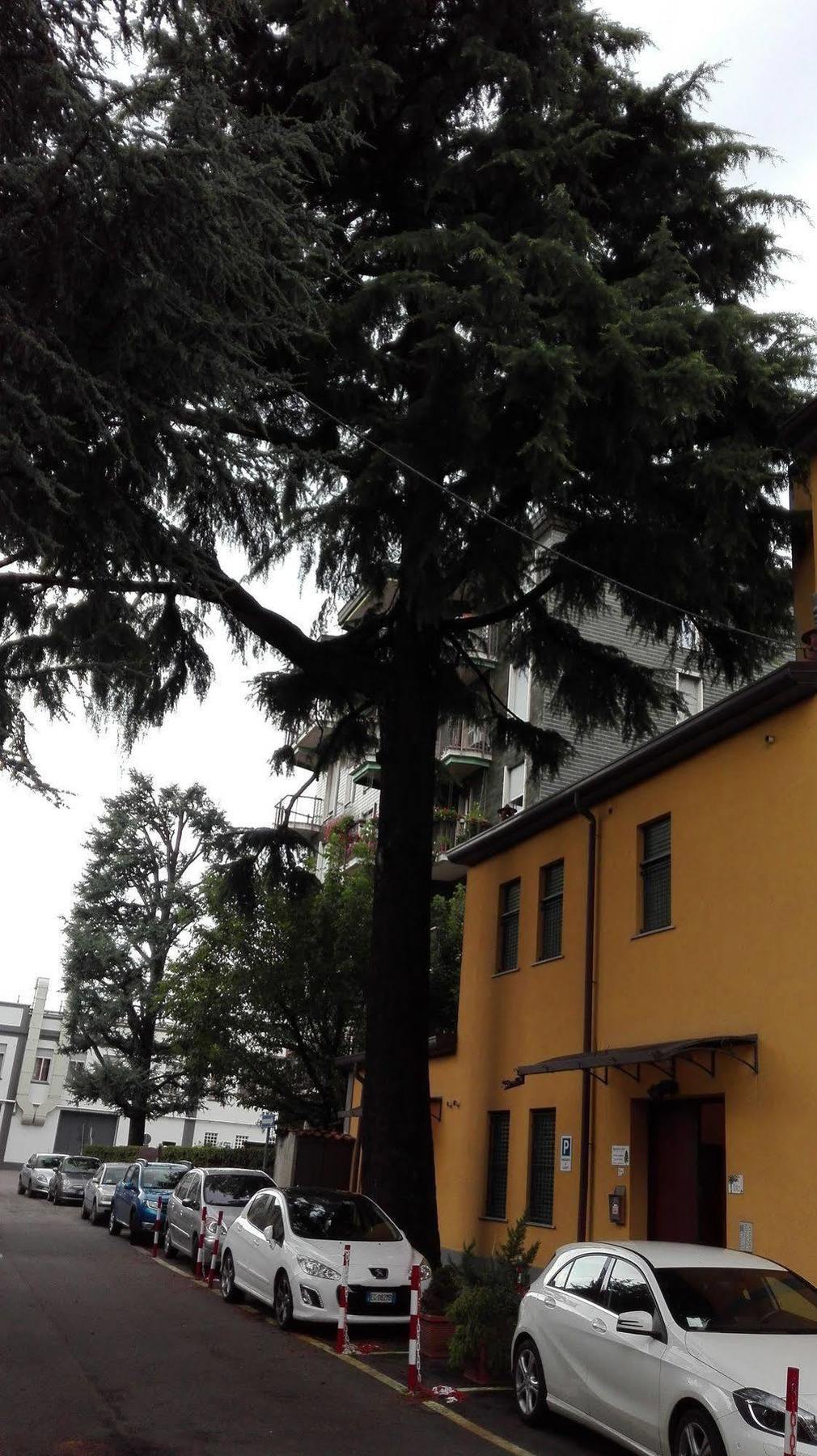 Residence Il Pino Saronno Eksteriør bilde